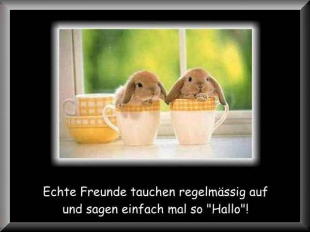 motiv_freundschaft_07-1-